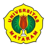 Mitra 12